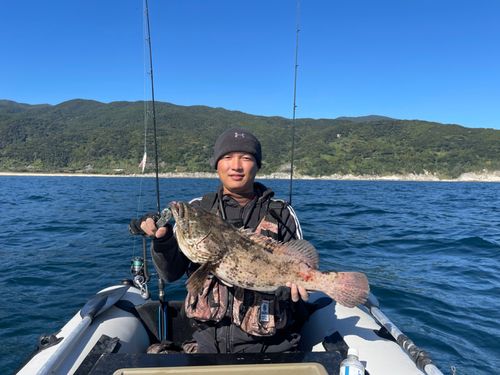 ヤイトハタの釣果