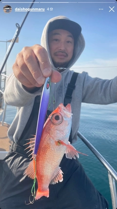 アカムツの釣果