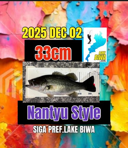 ラージマウスバスの釣果