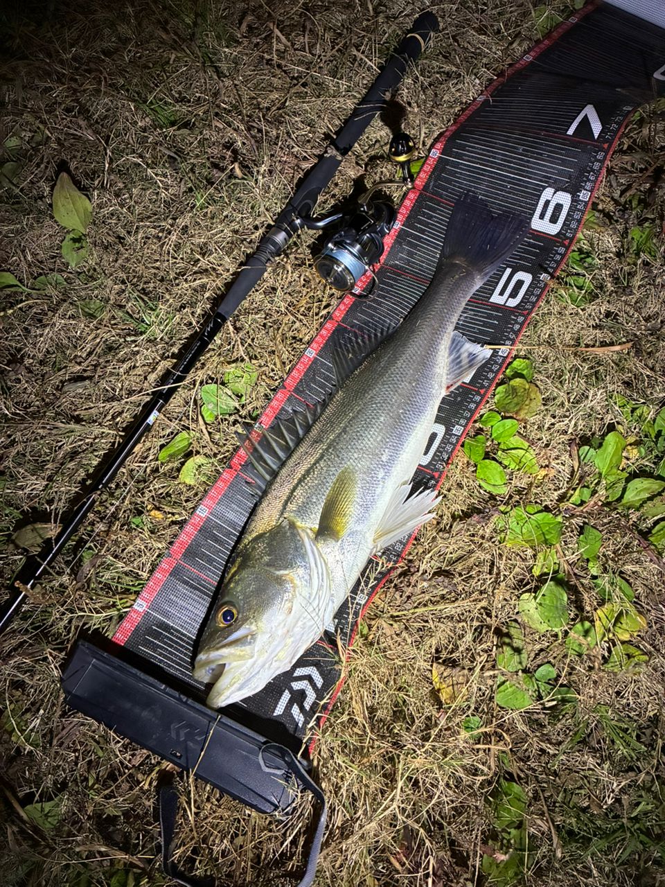 GCRAFT セブンセンスSR ミッドナイトモンスターの最安値・インプレ