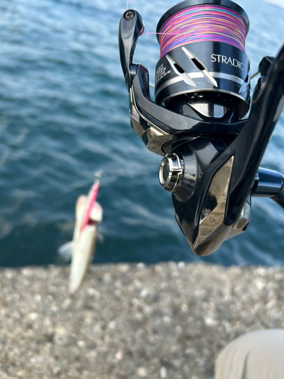 SHIMANO 21コルトスナイパーBB S100Hの最安値・インプレ・釣果 | 本音