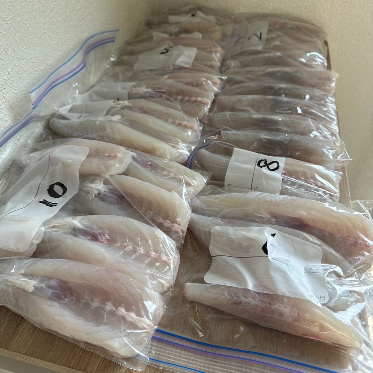 剛丸@古宮漁港さんの釣果 2枚目の画像