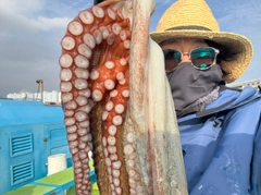 タコの釣果