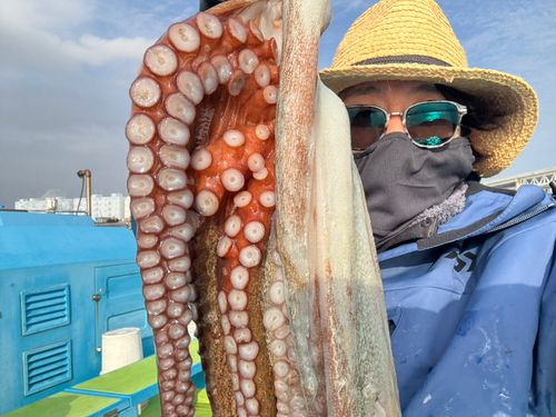 タコの釣果