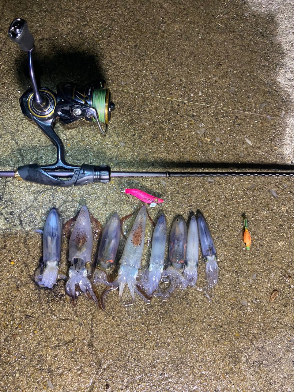 SHIMANO 22ソアレ SS アジング S58UL-Sの最安値・インプレ・釣果