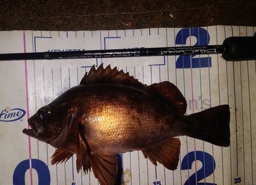 小名浜港アクアマリンふくしま周辺