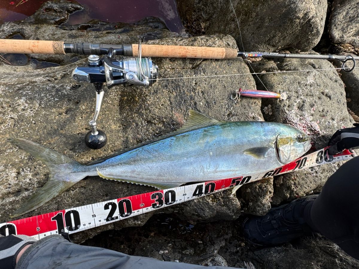 ばやしーさんの釣果 2枚目の画像