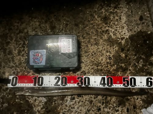 東京ゲートブリッジ付近