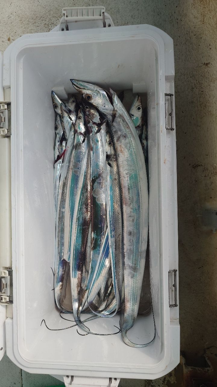 友っちさんの釣果 2枚目の画像