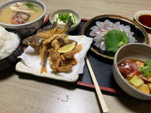 ホウボウの釣果