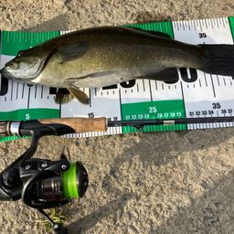 スモールマウスバス