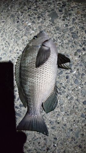 関門海峡（山口）