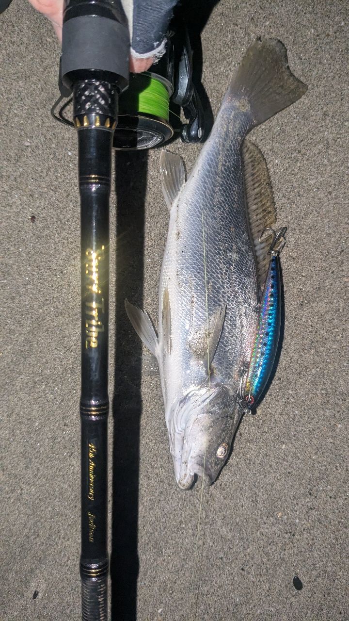 Jackson サーフトライブ STSLS-9062L+の最安値・インプレ・釣果 | 本音