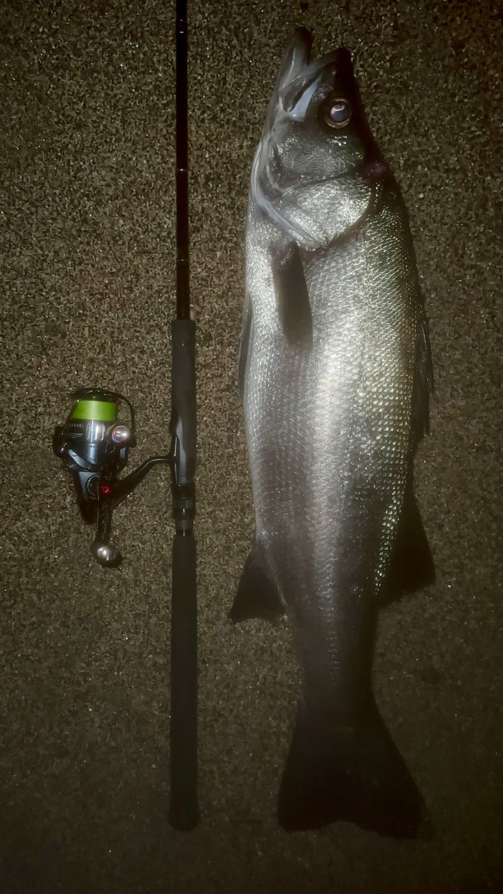 YAMAGA Blanks アーリー プラス 92XMLの最安値・インプレ・釣果 | 本音