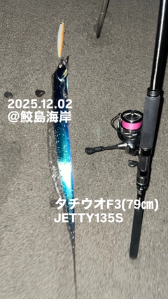 タチウオの釣果