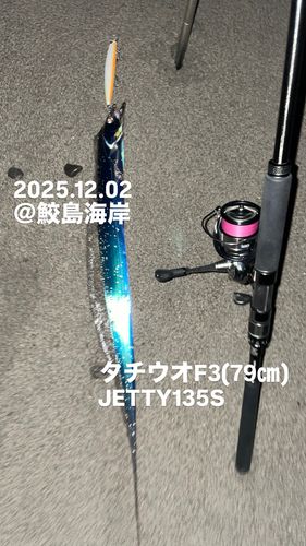 タチウオの釣果