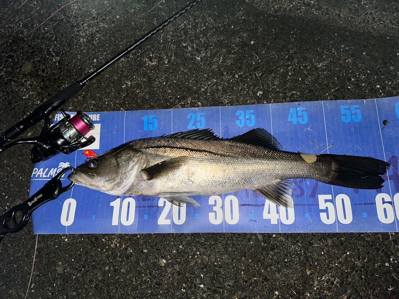 SHIMANO 17エクスセンス ∞ (インフィニティ) S900ML/RFの最安値