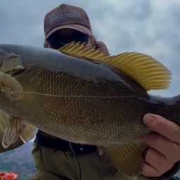 スモールマウスバス