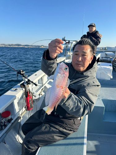 アカアマダイの釣果