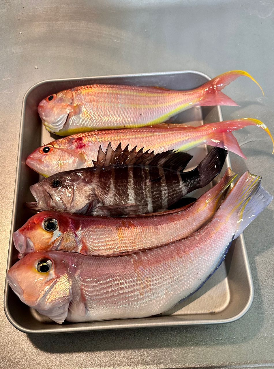 つり吉順平さんの釣果 3枚目の画像