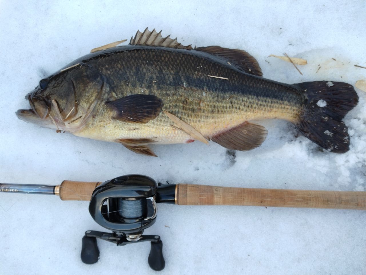 SHIMANO 23ワールドシャウラ リミテッド 1705R-2の最安値・インプレ