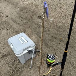 ダイナンウミヘビ