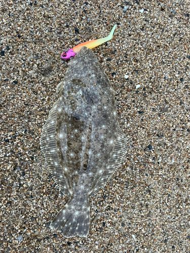 新舞子海岸（いわき）