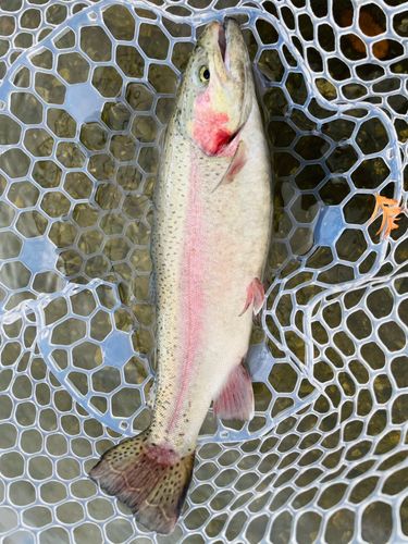 五頭フィッシングパーク