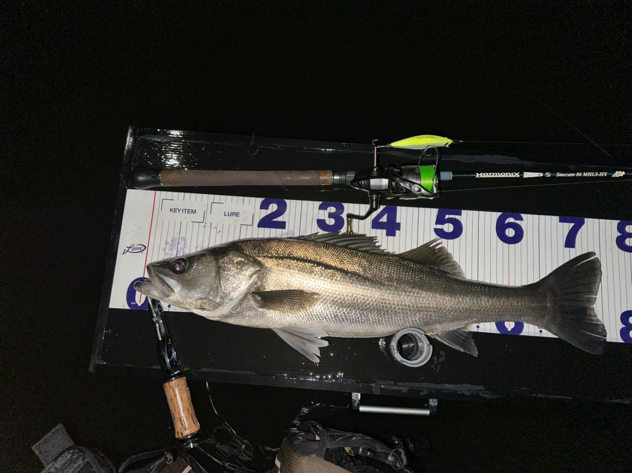 TULALA ハーモニクス スタッカート 86MHLS-HXの最安値・インプレ・釣果