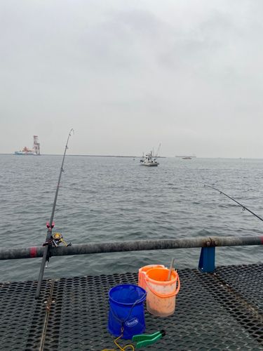 本牧海づり施設