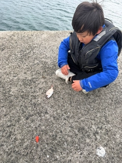 チャリコの釣果