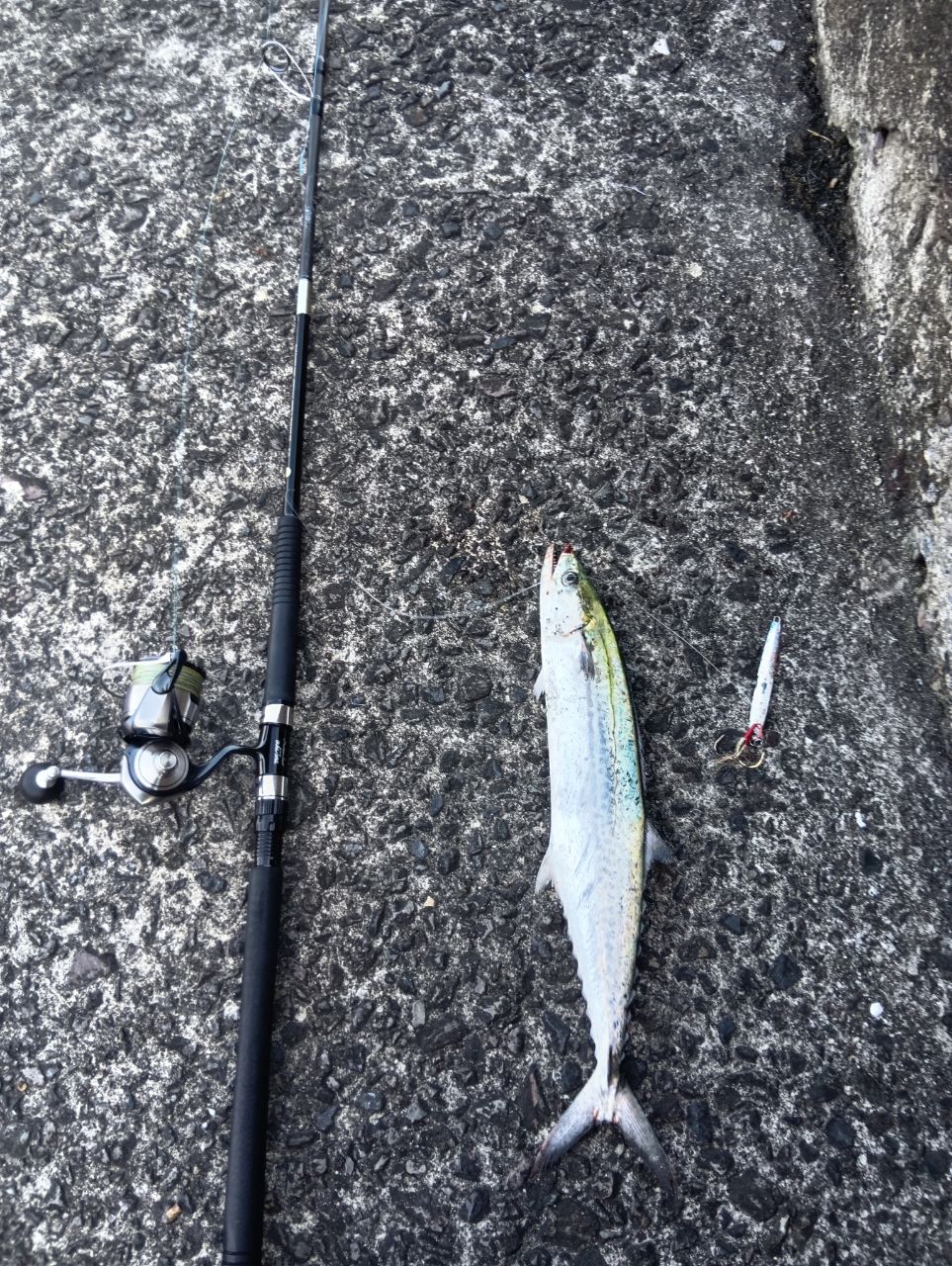 APIA グランデージ アトラス BLUE RUNNER 100MHの最安値・インプレ