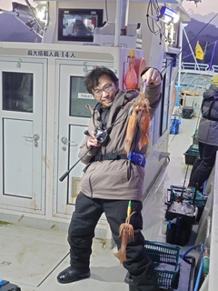 スルメイカの釣果