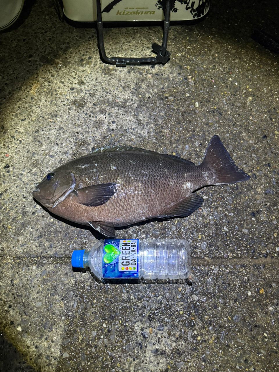 SHIMANO 22ボーダレス 420H-Tの最安値・インプレ・釣果 | 本音の口コミ
