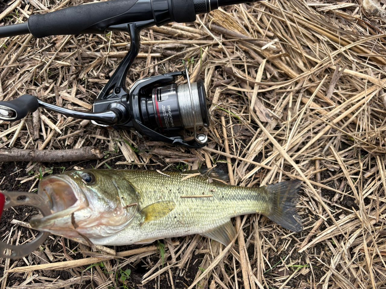 AbuGarcia バスフィールドの最安値・インプレ・釣果 | 本音の口コミが