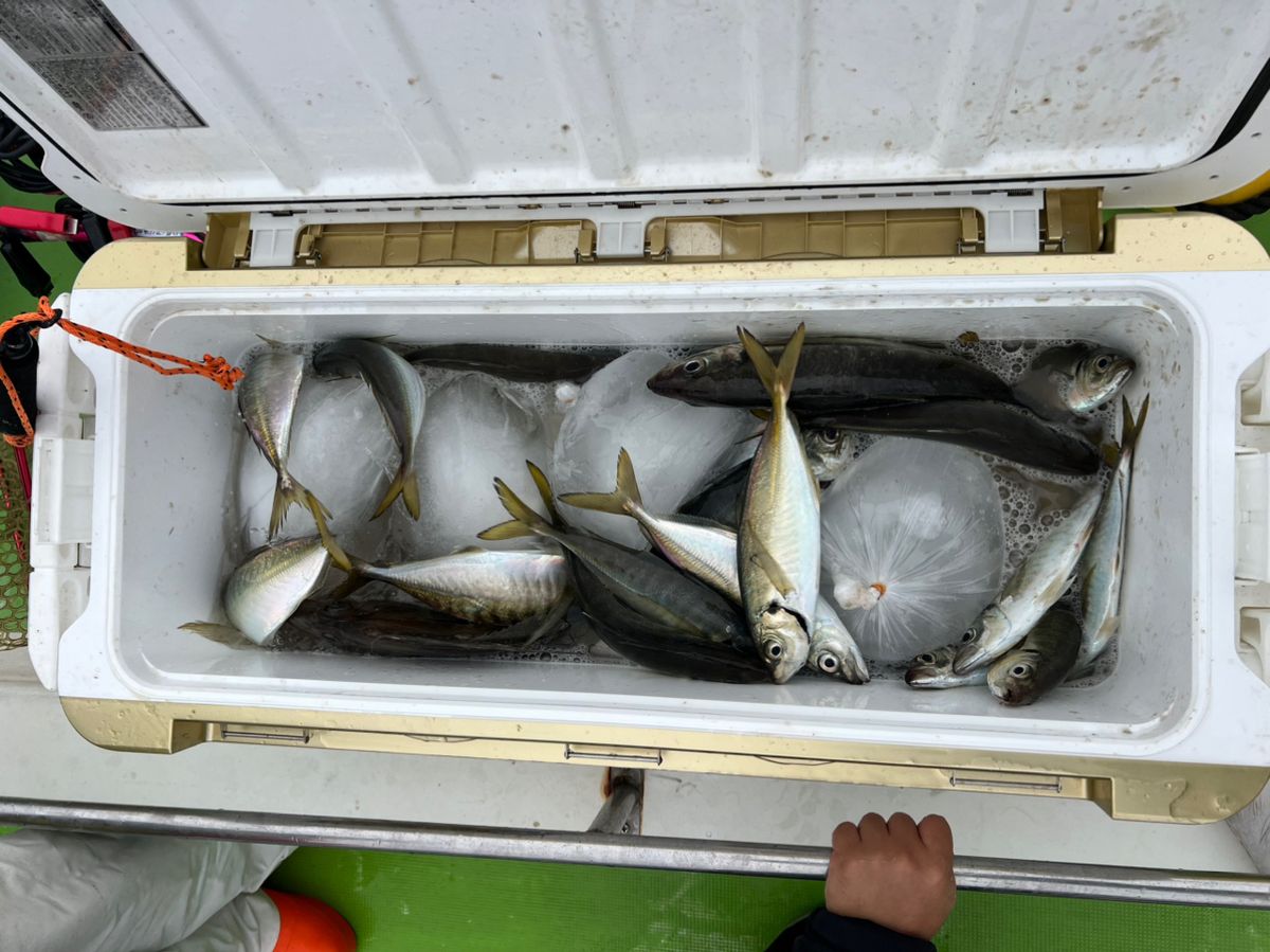 政信丸さんの釣果 2枚目の画像