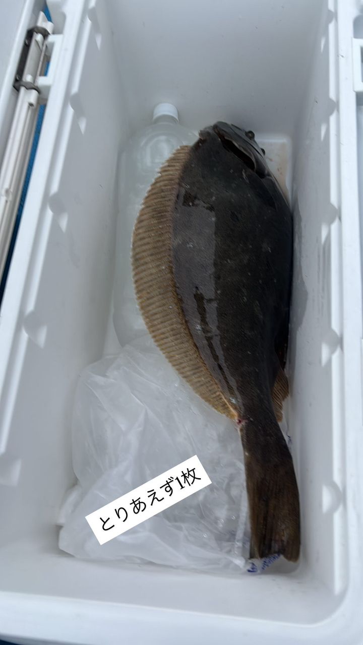 CFC SHUさんの釣果 2枚目の画像