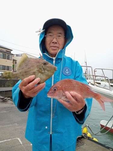 ハナダイの釣果