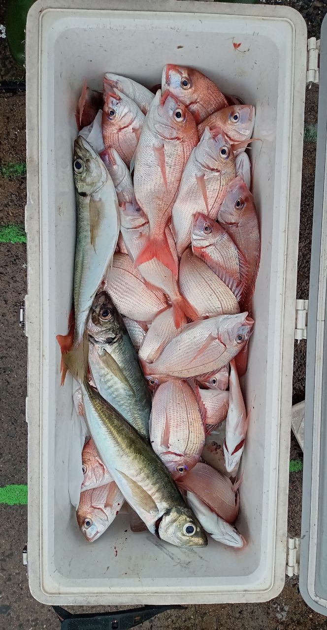 大盛丸さんの釣果 1枚目の画像