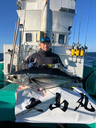 ビンチョウマグロの釣果