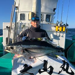 ビンチョウマグロ