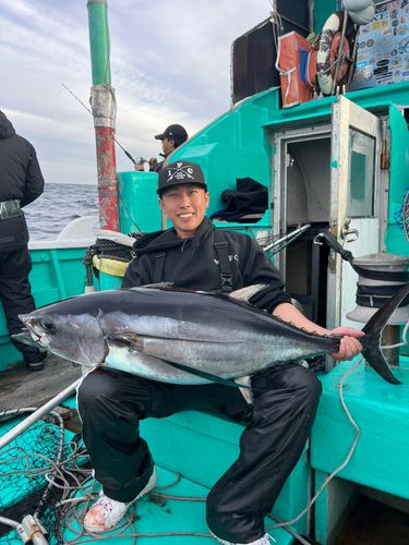 ビンチョウマグロの釣果