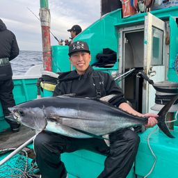 ビンチョウマグロ