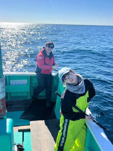 ビンチョウマグロの釣果