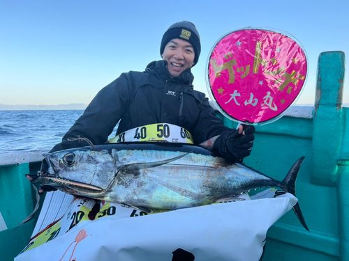 ビンチョウマグロの釣果