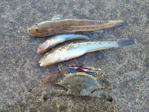 小樽港厩町岸壁