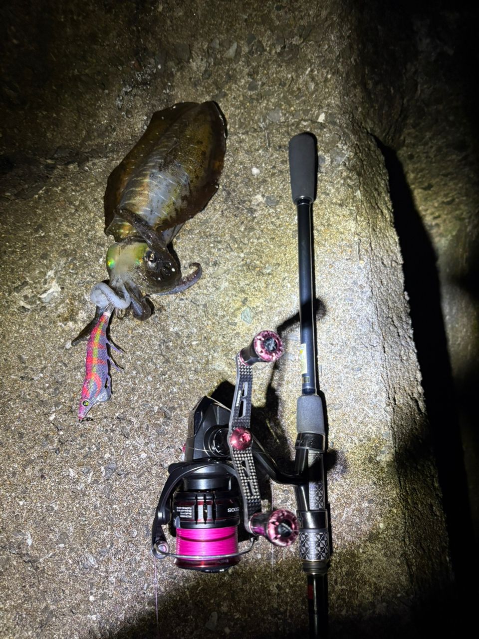 TENRYU ブリゲイド フリップ BGF872S-MLMの最安値・インプレ・釣果