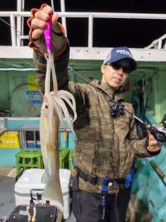 スルメイカの釣果