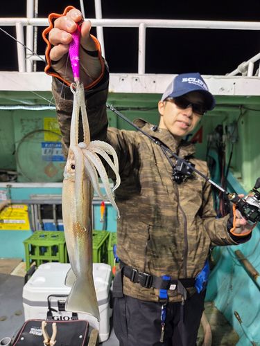 スルメイカの釣果