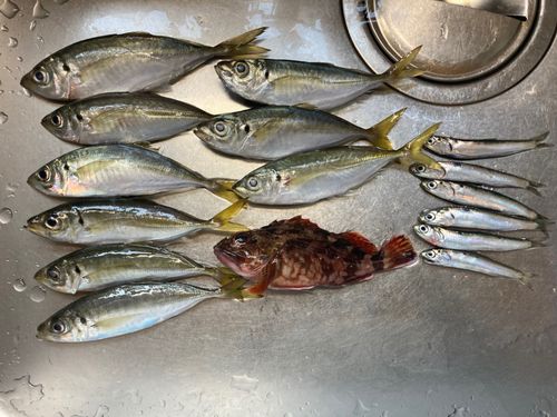 本牧海づり施設